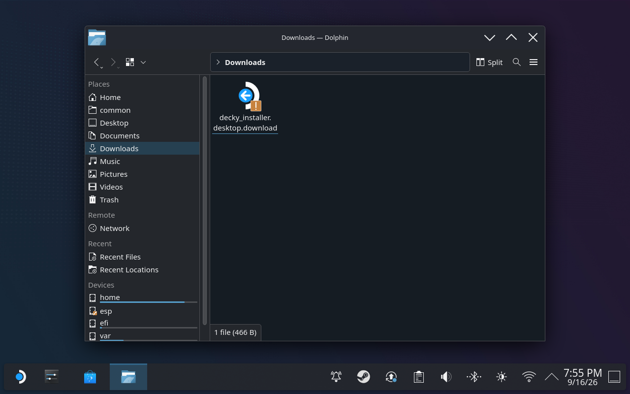 The downloaded installer sitting in the Downloads folder in the file manager