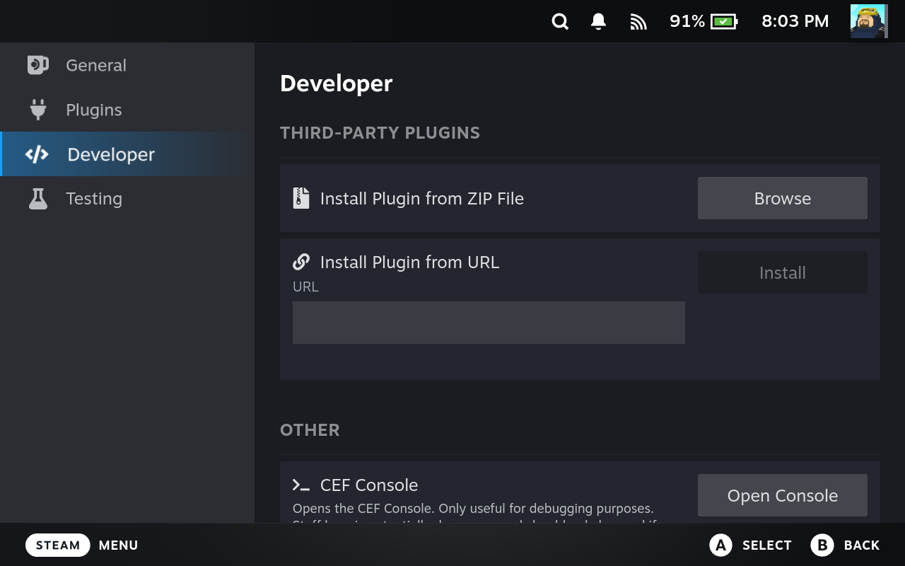 The Developer tab in Decky settings with "Install Plugin from ZIP File"